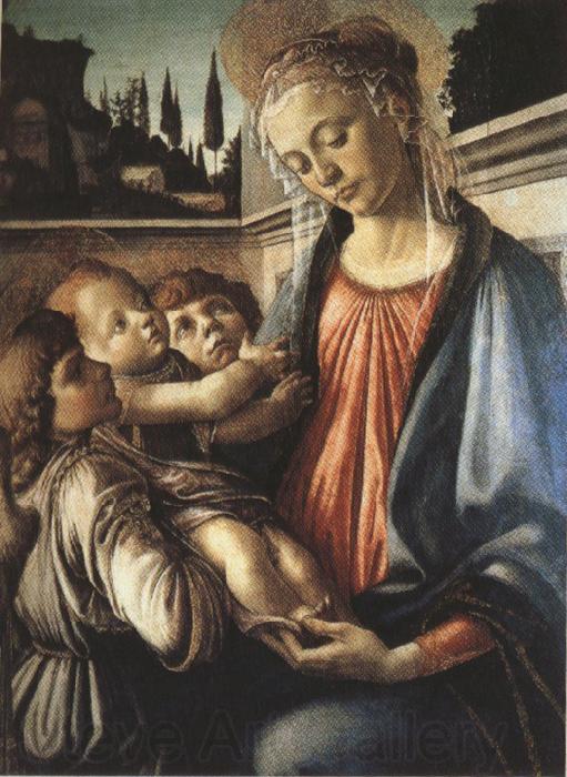 Sandro Botticelli Madonna and Child with two Angels (mk36) Norge oil painting art